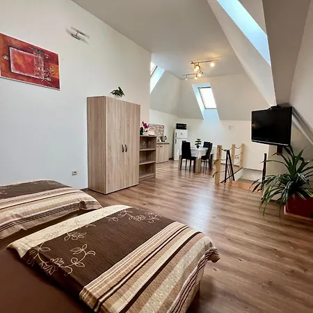 Zatisi 2 דירה אולומוץ