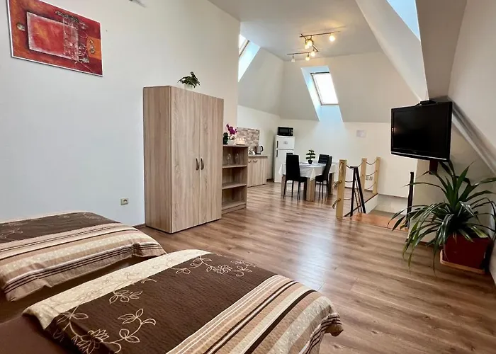 Zatisi 2 公寓 奥洛穆茨